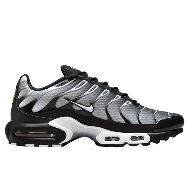 Nike Air Max Plus Smoke Fade